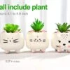 B SEPOR 3 Little Kitty Cats Small Artificial Succulents Potted With White Porcelain Pots Ceramic Animal Planter Gift Set For Home And Office Decor