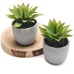 Kurrajong Farmhouse Fake Plants | Fake Succulents Set Of Two | Succulent Plants Artificial | Artificial Succulents | Fake Agave Artificial Plants -Organic Plant Shop 41DO0jMpuTL