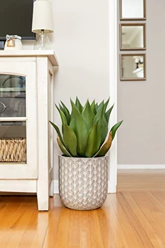 Season's Need 20" Agave Artificial Succulent Large Plants For Indoor Outdoor, Fake Tropical Farmhouse Aesthetic Décor, Patio Porch Decorative Silk Plant, Unpotted Green Spiked Agave (Pack Of 1) 2 Season's Need 20" Agave Artificial Succulent Large Plants For Indoor Outdoor, Fake Tropical Farmhouse Aesthetic Décor, Patio Porch Decorative Silk Plant, Unpotted Green Spiked Agave (Pack Of 1) - Image 2