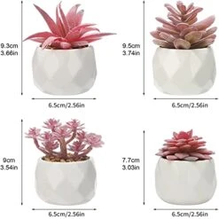 CASTNOO Set Of 4 Succulents Plants Artificial, Mini Fake Succulents For Women Office, Faux Succulents Decor, Artificial Succulents In Ceramic Pots For Desk, Home, Shelf Decorations -Organic Plant Shop 41DqJG1GnwL