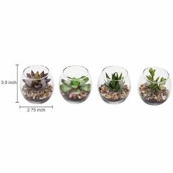 MyGift Assorted Artificial Succulent Fake Plant In Small Clear Glass Display Vases, Set Of 4 7 MyGift Assorted Artificial Succulent Fake Plant In Small Clear Glass Display Vases, Set Of 4 -Organic Plant Shop 41DxeONhB3L