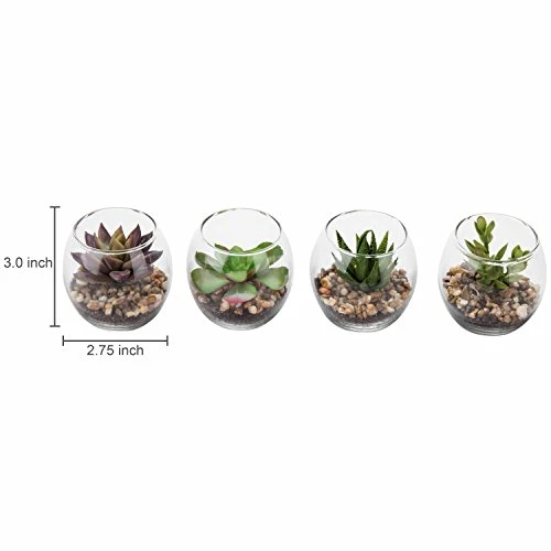 MyGift Assorted Artificial Succulent Fake Plant In Small Clear Glass Display Vases, Set Of 4 4 MyGift Assorted Artificial Succulent Fake Plant In Small Clear Glass Display Vases, Set Of 4 - Image 4