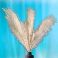 Decor Plus More Faux Pampas Grass Large - Set Of 4 47 Inches Beautiful Tall Artificial Compliments Any Room With Zero Maintenance Perfect For Modern, Boho Or Farmhouse (2 Cream & 2 Ivory Stems) -Organic Plant Shop 41E7ZlIKMDL. AC