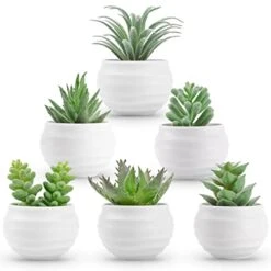 Der Rose 6 Packs Fake Succulents Plants Small Realistic Succulents Plants Artificial For Home Room Decor Indoor