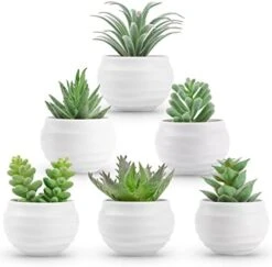 Der Rose 6 Packs Fake Succulents Plants Small Realistic Succulents Plants Artificial For Home Room Decor Indoor -Organic Plant Shop 41ETz0VQwfL. AC