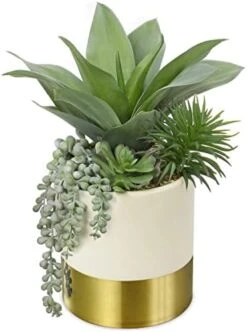 Large Artificial Succulents Plants Faux Succulents 12" Fake Succulent Plants In Gold Ceramic Pot Succulent Plant For Desk Modern Home Living Room Office Table Shelf Decor -Organic Plant Shop 41FEmPXAk7L. AC