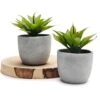 Kurrajong Farmhouse Fake Plants | Fake Succulents Set Of Two | Succulent Plants Artificial | Artificial Succulents | Fake Agave Artificial Plants