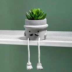 Lavenor Artificial Potted Plant Fake Succulent Plant Cute Hanging Leg Emotional Cement Potted Succulents Decor For Desk Shelf Bedroom Living Room And Office Decoration(Type A + Type C) -Organic Plant Shop 41IJLfrg KL. AC
