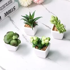 Artificial Succulent Plants Fake Succulent Plants Artificial Faux Succulents 4pcs Mini Potted Succulents For Home Office Room Decoration (Green) 8 Artificial Succulent Plants Fake Succulent Plants Artificial Faux Succulents 4pcs Mini Potted Succulents For Home Office Room Decoration (Green) -Organic Plant Shop 41L8qQFlGIS