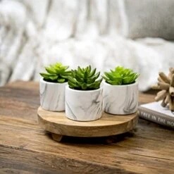 Kurrajong Farmhouse Artificial Succulent Plants In Pots | Mini Fake Plant For Shelves | Artificial Plants For Home Decor Indoor | Succulent Plants Artificial | Mini Plant Decor | Small Faux Plants -Organic Plant Shop 41L90SqYKvL
