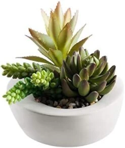 FAVRD Artificial Succulents In Cement Pot Environmentally Conscious Partly Recycled Fake Plants Artificial Plants Indoor Home Office Decor Desk Faux Plants, 8.5 X 8.5 X 8.75 Inches, Green, (10181-A) -Organic Plant Shop 41LKlYxv4L. AC