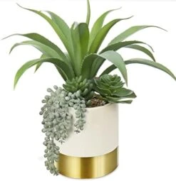 Large Artificial Succulents Plants Faux Succulents 12" Fake Succulent Plants In Gold Ceramic Pot Succulent Plant For Desk Modern Home Living Room Office Table Shelf Decor -Organic Plant Shop 41Ld64rVMFL. AC