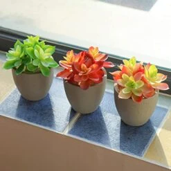 Mingfuxin Artificial Plants, 3 Pack Realistic Faux Succulents In Pots With Flowers For Indoor Office Desk Decor Home Bedroom -Organic Plant Shop 41Lt7lCEzKL