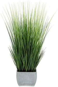 House Of Silk Flowers Artificial 44" Grass In Large Rectangle Zinc (Cream) -Organic Plant Shop 41LuzK2GzL. AC