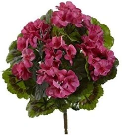 Nearly Natural Geranium Artificial Bush UV Resistant, Set Of 4 (Indoor/Outdoor), Beauty,14"Dx14"Wx13"H 13 Nearly Natural Geranium Artificial Bush UV Resistant, Set Of 4 (Indoor/Outdoor), Beauty,14"Dx14"Wx13"H -Organic Plant Shop 41M4heMPyhL. AC