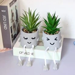 Sets Of 2 Artificial Potted Plant Small Fake Succulent Faux Plant Cute Hanging Leg Cement Potted Succulents Decor For Gift, Office Decoration, Home Décor (2 Smiley) -Organic Plant Shop 41N5Y3YTrtL
