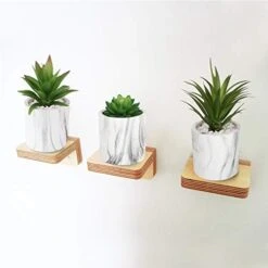 C APPOK Artificial Succulents Plants Faux Succulent Flocking Potted Plants - 4 Pack Fake Succulents Decorative Green Potted Plant In Pots For Home, Desk Decor, Office Decoration -Organic Plant Shop 41NFgWdmyRL