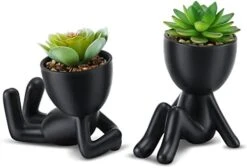WOODWORD Fake Succulent, Mini Succulents Plants Artificial In Black Modern Human Shaped Ceramic Pots Cute Desk Decor For Office Decor For Women, Bathroom 2PCS -Organic Plant Shop 41NIG6OnCEL. AC