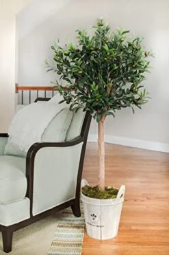 Nearly Natural 5960 4.5' Olive Topiary Tree With European Barrel Planter -Organic Plant Shop 41Nkcrp0tzL