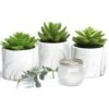 Kurrajong Farmhouse Artificial Succulent Plants In Pots | Mini Fake Plant For Shelves | Artificial Plants For Home Decor Indoor | Succulent Plants Artificial | Mini Plant Decor | Small Faux Plants