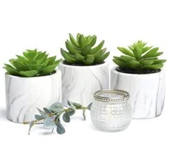 Kurrajong Farmhouse Artificial Succulent Plants In Pots | Mini Fake Plant For Shelves | Artificial Plants For Home Decor Indoor | Succulent Plants Artificial | Mini Plant Decor | Small Faux Plants