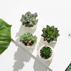 MyGift Set Of 4 Mini Assorted Artificial Succulent Fake Plants In Modern White Textured Ceramic Plant Pots -Organic Plant Shop 41OYJBQhpFS