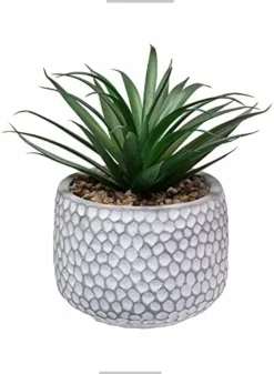 CADNLY Small Fake Plants In Pot - Artificial Succulents Plant For Desk - Small Faux Plants Indoor Modern Farmhouse Plants Artificial Decor – Potted Small Plants Decor For Bedroom Bathroom Office Shelf -Organic Plant Shop 41OzM nEN0L. AC