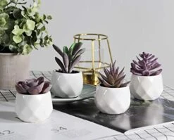 Tiita Artificial Faux Succulents In Pots Fake Plants Ceramic Arrangement Planter Small Mini Tiny Decoration For Home Office Desk Window Sill Bathroom Bedroom Outdoor Indoor 4 Set -Organic Plant Shop 41PygYH7qAL