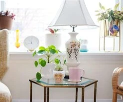 Silver Buffalo The Golden Girls Sophia Face Mini Ceramic Planter Decor | Official TV Show Collectible | Small Flower Pot For Indoor Plants, Includes Artificial Succulent | 3 Inches -Organic Plant Shop 41Qh7U2r5kS