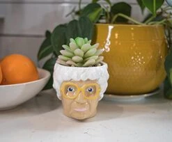 Silver Buffalo The Golden Girls Sophia Face Mini Ceramic Planter Decor | Official TV Show Collectible | Small Flower Pot For Indoor Plants, Includes Artificial Succulent | 3 Inches -Organic Plant Shop 41RmPPgNDbS