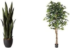 Nearly Natural, Green 4855 35in. Sansevieria With Black Planter 21 Nearly Natural, Green 4855 35in. Sansevieria With Black Planter -Organic Plant Shop 41Sy5isVhL. AC