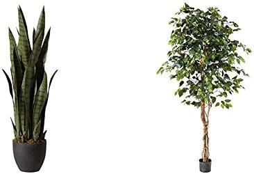 Nearly Natural, Green 4855 35in. Sansevieria With Black Planter 11 Nearly Natural, Green 4855 35in. Sansevieria With Black Planter - Image 11