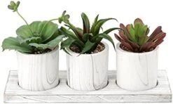 Briful Succulents Plants Artificial In Marble Pot Set Of 3 Small Fake Succulents Plants Faux Succulents With Wood Tray For Table Shelf Office Home Decorations 14 Briful Succulents Plants Artificial In Marble Pot Set Of 3 Small Fake Succulents Plants Faux Succulents With Wood Tray For Table Shelf Office Home Decorations -Organic Plant Shop 41TAANAHHFS. AC