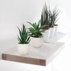 Memeaty Set Of 5 Small Fake Plants Artificial Rosemary Peppermint Plants Fake Succulents Plants In Pot For Home Office Decoration,Artficial Greenery Faux Plants Indoor For Table Shelf Decor -Organic Plant Shop 41TXidBwAEL