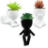 Succulents Plants Artificial For Room Decor, Fake Succulent With Human Shaped Pots, Aesthetic Plants For Desk Decor, Cute Fake Plants For Office Decor, Good Ideas For Gifts, Home Decorations 3PCS