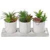 Briful Succulents Plants Artificial In Marble Pot Set Of 3 Small Fake Succulents Plants Faux Succulents With Wood Tray For Table Shelf Office Home Decorations
