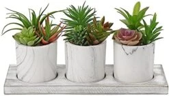 Briful Succulents Plants Artificial In Marble Pot Set Of 3 Small Fake Succulents Plants Faux Succulents With Wood Tray For Table Shelf Office Home Decorations 15 Briful Succulents Plants Artificial In Marble Pot Set Of 3 Small Fake Succulents Plants Faux Succulents With Wood Tray For Table Shelf Office Home Decorations -Organic Plant Shop 41Ujiq6kt2S. AC