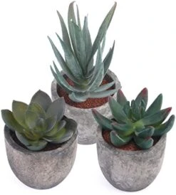 Iuuidu Artificial Potted Plant, Faux Succulent In Pot Emotional Cement Potted Plant Animated Artificial Succulents Decor For Home Living Room Bedroom And Office(Shy) 22 Iuuidu Artificial Potted Plant, Faux Succulent In Pot Emotional Cement Potted Plant Animated Artificial Succulents Decor For Home Living Room Bedroom And Office(Shy) -Organic Plant Shop 41Vwt5ZL2EL. AC