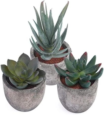 Iuuidu Artificial Potted Plant, Faux Succulent In Pot Emotional Cement Potted Plant Animated Artificial Succulents Decor For Home Living Room Bedroom And Office(Shy) 8 Iuuidu Artificial Potted Plant, Faux Succulent In Pot Emotional Cement Potted Plant Animated Artificial Succulents Decor For Home Living Room Bedroom And Office(Shy) - Image 8