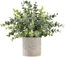 Ifreeside Small Potted Artificial Plants Plastic Fake Greenery Topiary Shrubs For Home Office Farmhouse Bathroom Tabletop Indoor Decor Green Rosemary 14 Ifreeside Small Potted Artificial Plants Plastic Fake Greenery Topiary Shrubs For Home Office Farmhouse Bathroom Tabletop Indoor Decor Green Rosemary -Organic Plant Shop 41XJ0S20HRL. AC