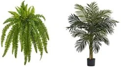 Nearly Natural 35” Boston Fern Artificial (Set Of 2) Silk Plants Green & 5357 4ft. Golden Cane Palm Tree,Green -Organic Plant Shop 41XPhjOKpeL. AC 1