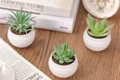 Der Rose 6 Packs Fake Succulents Plants Small Realistic Succulents Plants Artificial For Home Room Decor Indoor -Organic Plant Shop 41Y1imdmpqL