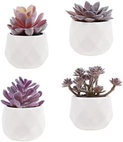 Tiita Artificial Faux Succulents In Pots Fake Plants Ceramic Arrangement Planter Small Mini Tiny Decoration For Home Office Desk Window Sill Bathroom Bedroom Outdoor Indoor 4 Set -Organic Plant Shop 41Z89m4IOL. AC