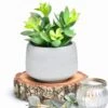 Kurrajong Farmhouse Faux Succulent In Pot - Faux Plants Decor - 7" X 4.5" - Feaux Plant In Pot - Fake Succulent Potted Plant For Home Decor Indoor