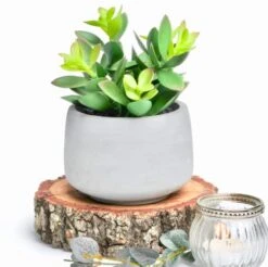 Kurrajong Farmhouse Faux Succulent In Pot - Faux Plants Decor - 7" X 4.5" - Feaux Plant In Pot - Fake Succulent Potted Plant For Home Decor Indoor