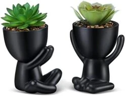 WOODWORD Fake Succulent, Mini Succulents Plants Artificial In Black Modern Human Shaped Ceramic Pots Cute Desk Decor For Office Decor For Women, Bathroom 2PCS -Organic Plant Shop 41ZYxcblHL. AC