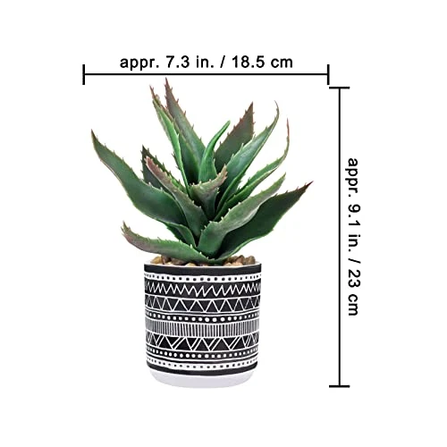Winlyn Set Of 3 Assorted Small Potted Succulents Arrangement Artificial Succulent Plants In Black And White Geometric Pots For Table Centerpiece Windowsill Shelf Indoor Outdoor Garden Greenery Decor 2 Winlyn Set Of 3 Assorted Small Potted Succulents Arrangement Artificial Succulent Plants In Black And White Geometric Pots For Table Centerpiece Windowsill Shelf Indoor Outdoor Garden Greenery Decor - Image 2
