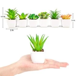 Faux Succulents In Pots Fake Succulents Small Artificial Succulents Potted For Home Office Desk Farmhouse Greenery Decor, 12 Pack -Organic Plant Shop 41alYePjvUL