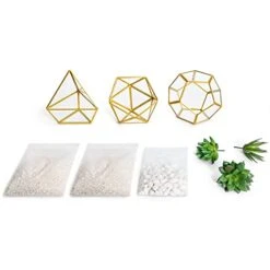 Mkono Artificial Succulent In 3 Pack Mini Glass Geometric Terrarium, Miniature Potted Faux Plant Bookshelf Desk Boho Office Room Decor For Women Girls Dorm Gift Idea, Gold -Organic Plant Shop 41d7AM4HT7S