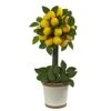 Nearly Natural Lemon Ball Arrangement Topiary, Yellow,19.5'' X 8.5'' X 8.75'' - 4865